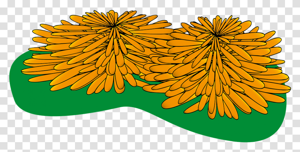 Marigolds Flower Flowers Day Of Clip Art, Leaf, Plant, Tree, Pattern Transparent Png