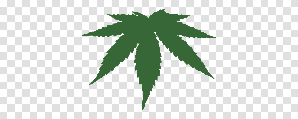 Marijuana Technology, Leaf, Plant, Green Transparent Png