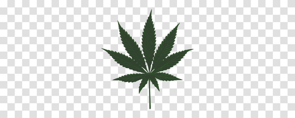 Marijuana Technology, Plant, Leaf, Hemp Transparent Png