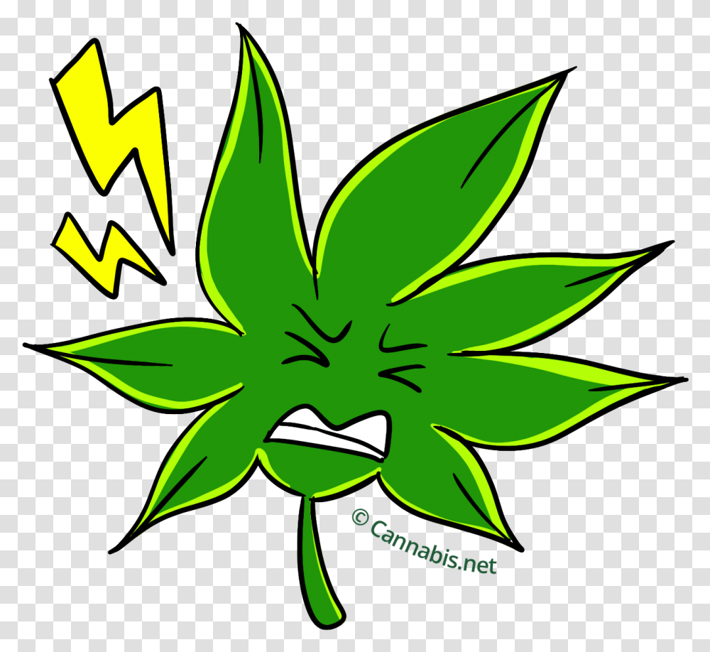 Marijuana Clipart Doobie Cartoons, Plant, Leaf, Green Transparent Png