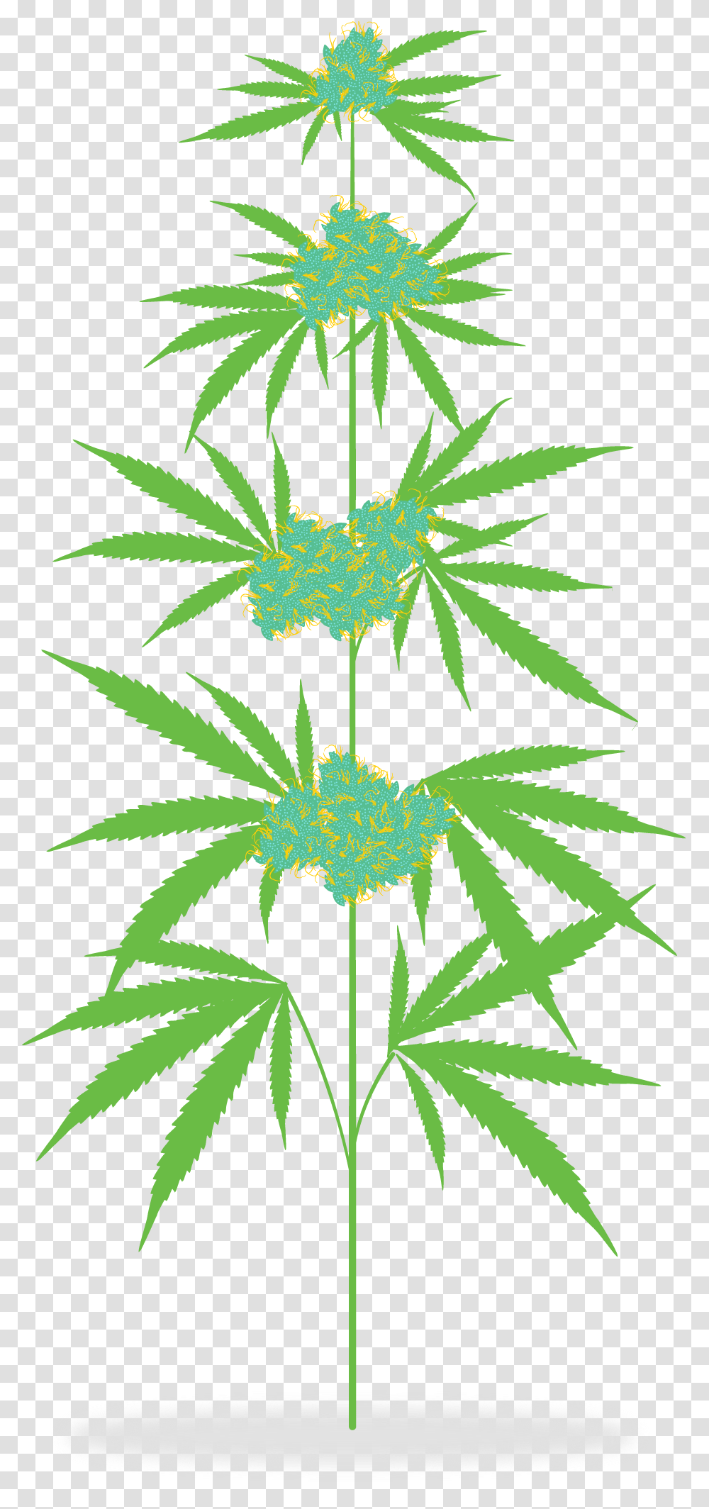 Marijuana Clipart Marijuana Plant Clip Art, Pineapple, Fruit, Food, Hemp Transparent Png