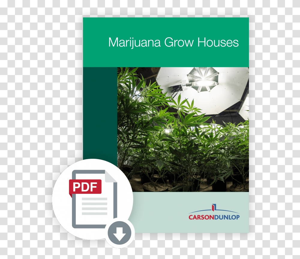 Marijuana Grow Houses Course New Technology Grow Cannabis, Outdoors, Plant, Garden, Advertisement Transparent Png