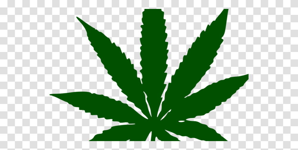 Marijuana Has Alot Of Good Benefits For Your Health Integrative, Plant, Leaf, Flower, Blossom Transparent Png