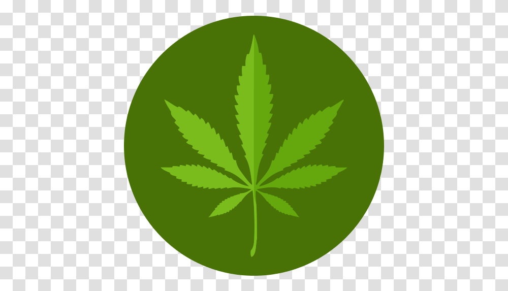Marijuana Icon Flat Marijuana Icon, Tennis Ball, Sport, Sports, Green Transparent Png