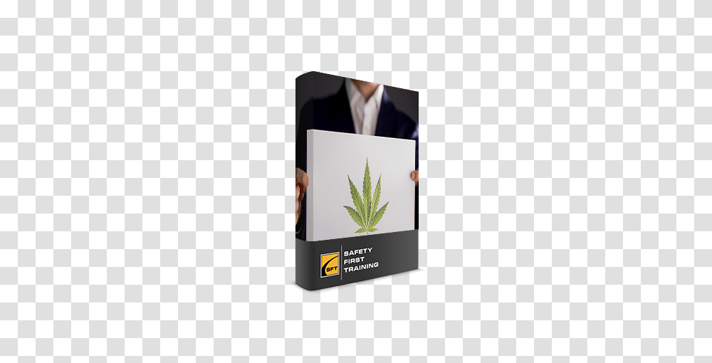 Marijuana In The Workplace Medical Marijuana Online Cannabis, Plant, Person, Human Transparent Png