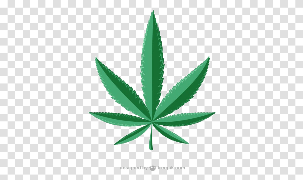 Marijuana Leaf Cannabis Weed Weed, Plant, Flower, Blossom, Hemp Transparent Png