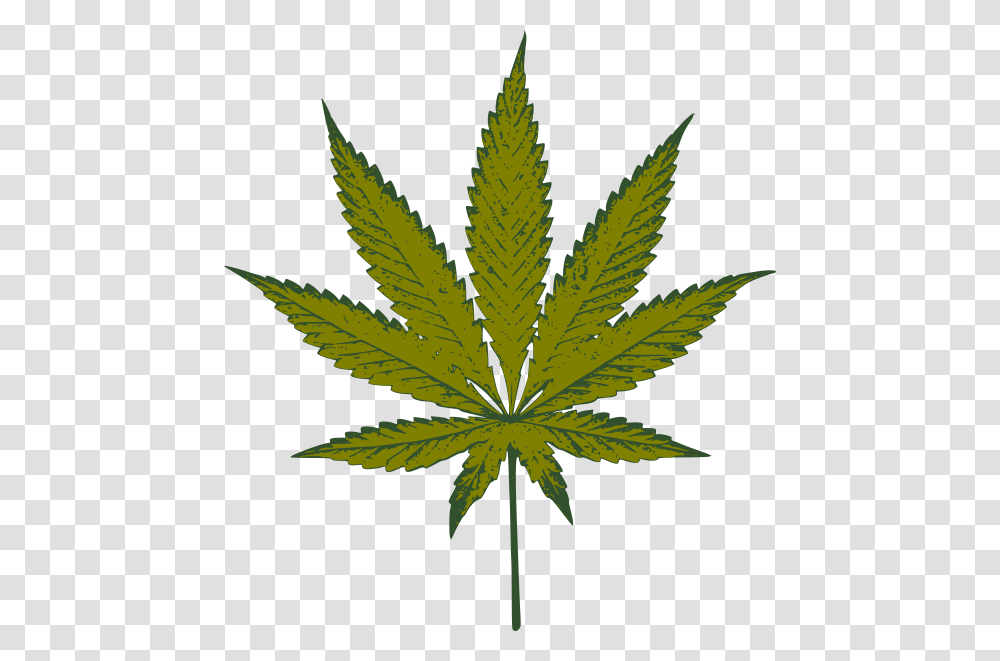 Marijuana Leaf Clipart, Plant, Weed, Hemp, Bird Transparent Png