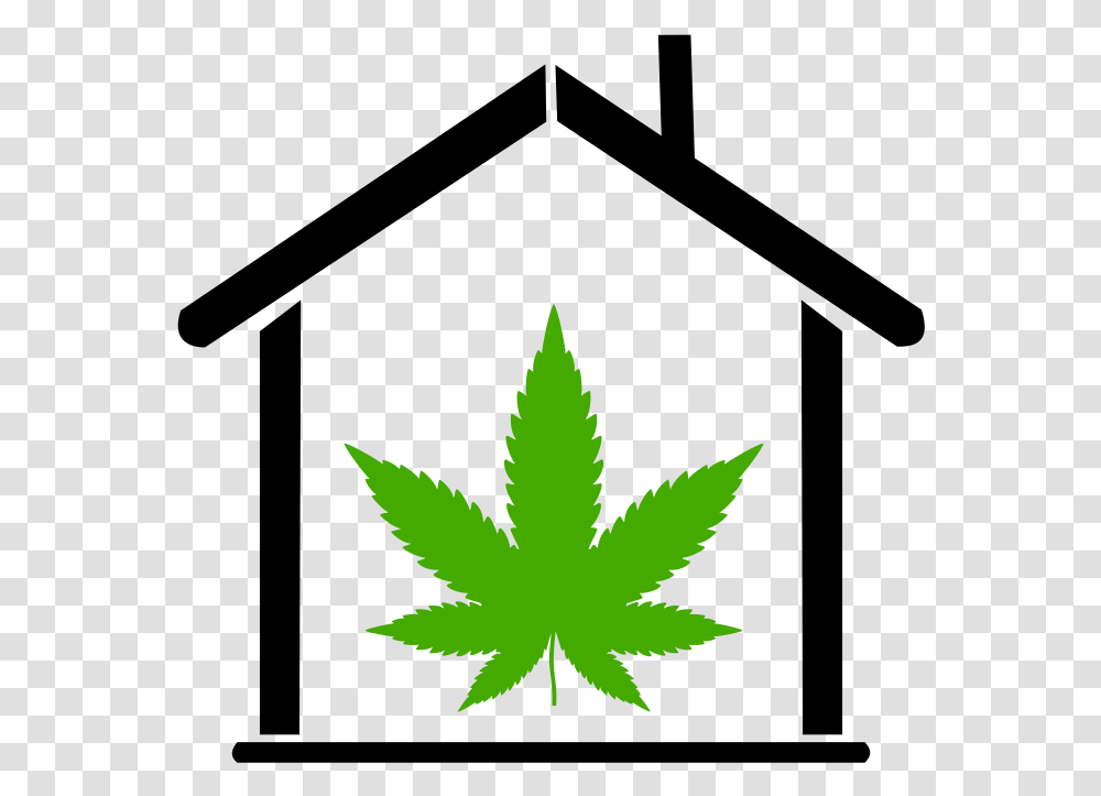 Marijuana Leaf Icon Pot Leaf, Plant, Tree, Weed, Bird Transparent Png