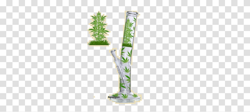 Marijuana Leaf Jhari Bong Marihuana Bong, Plant, Tree, Flower, Blossom Transparent Png