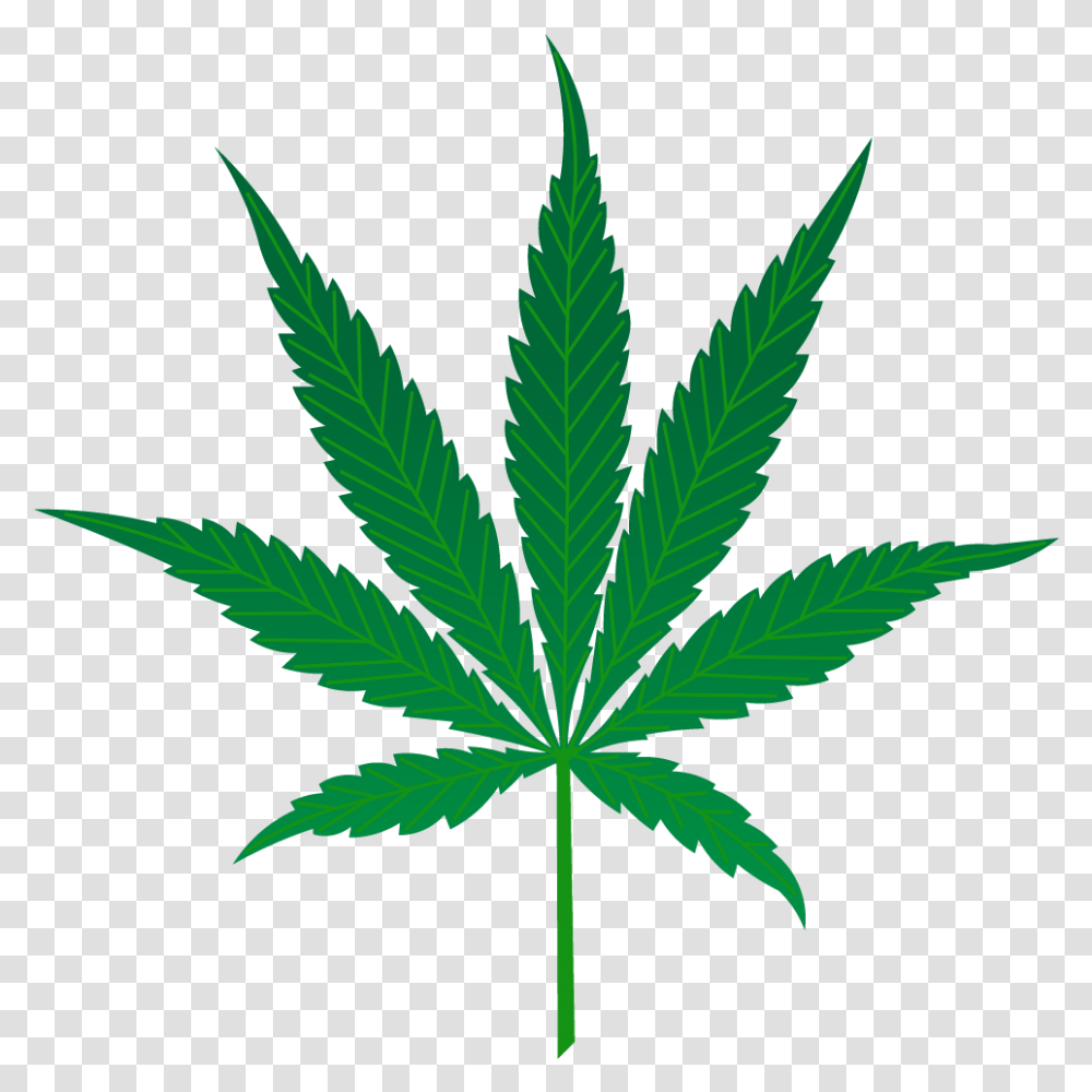 Marijuana Leaf Marijuana Leaf Vector, Plant, Hemp, Bird, Animal Transparent Png