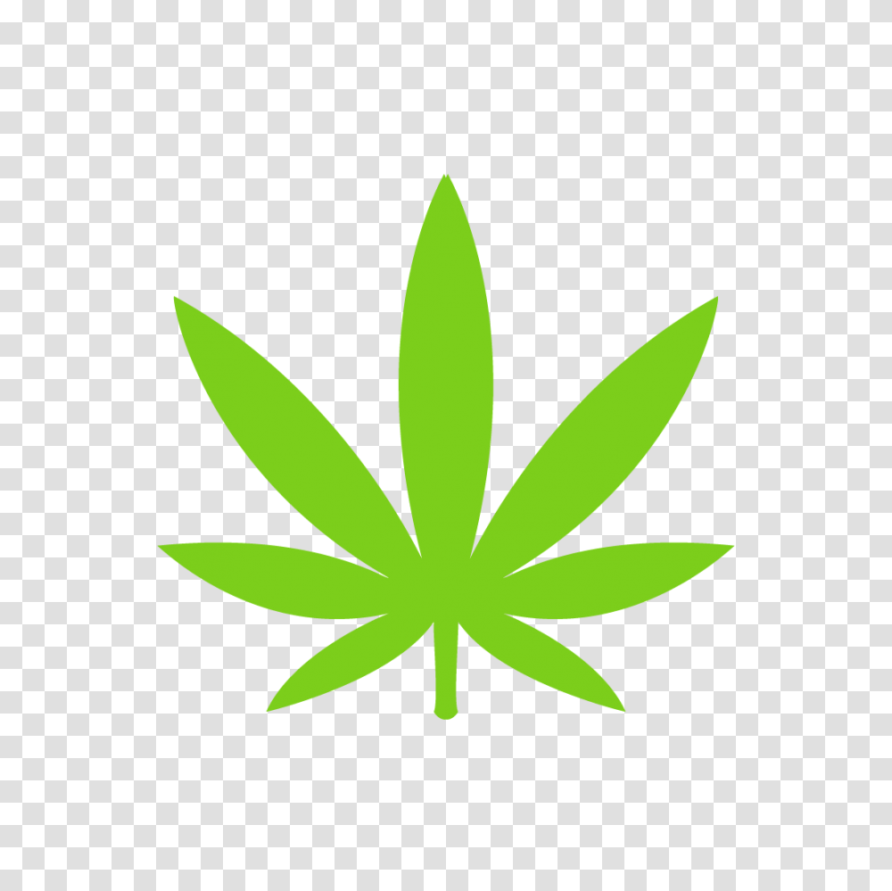 Marijuana, Leaf, Plant, Flower Transparent Png