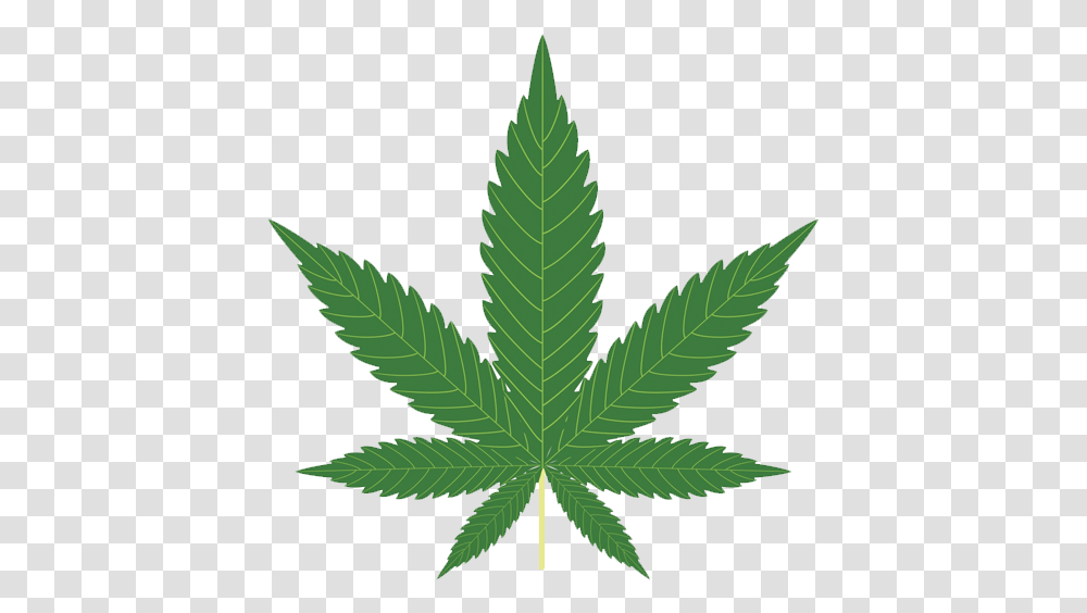 Marijuana Leaf, Plant, Weed, Hemp Transparent Png