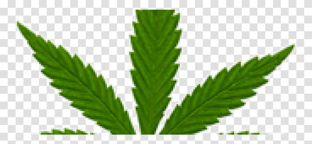 Marijuana Leaf Small, Plant, Weed, Hemp Transparent Png