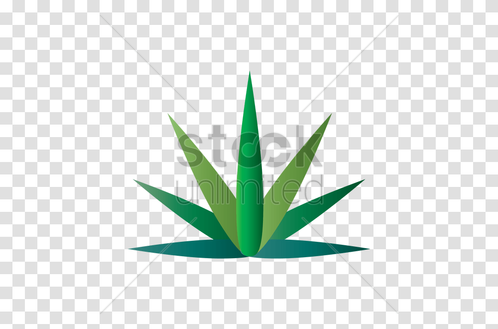 Marijuana Leaf Vector Image, Aloe, Plant, Tree Transparent Png