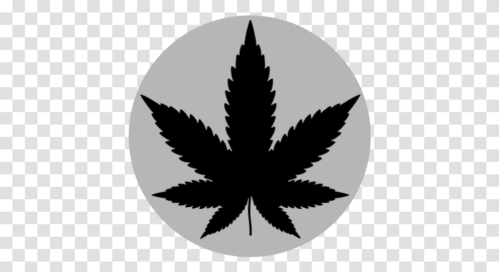 Marijuana News Barcelona Coffeeshopbarcelonaorg, Leaf, Plant, Bird, Animal Transparent Png