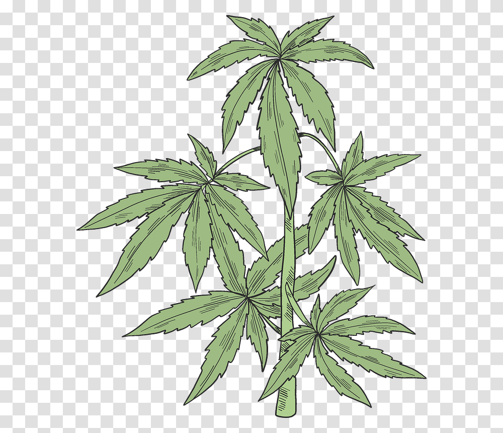 Marijuana Plant Clipart Cannabis, Hemp, Weed Transparent Png