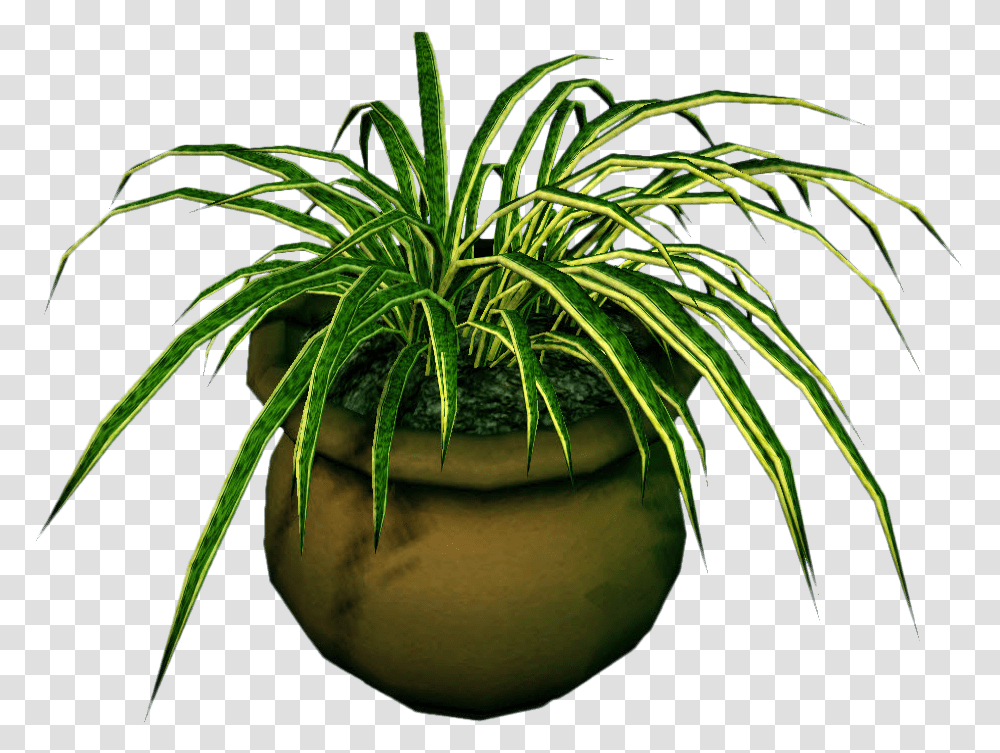 Marijuana Plant Clipart Dead Plant, Palm Tree, Arecaceae, Pot, Sphere Transparent Png