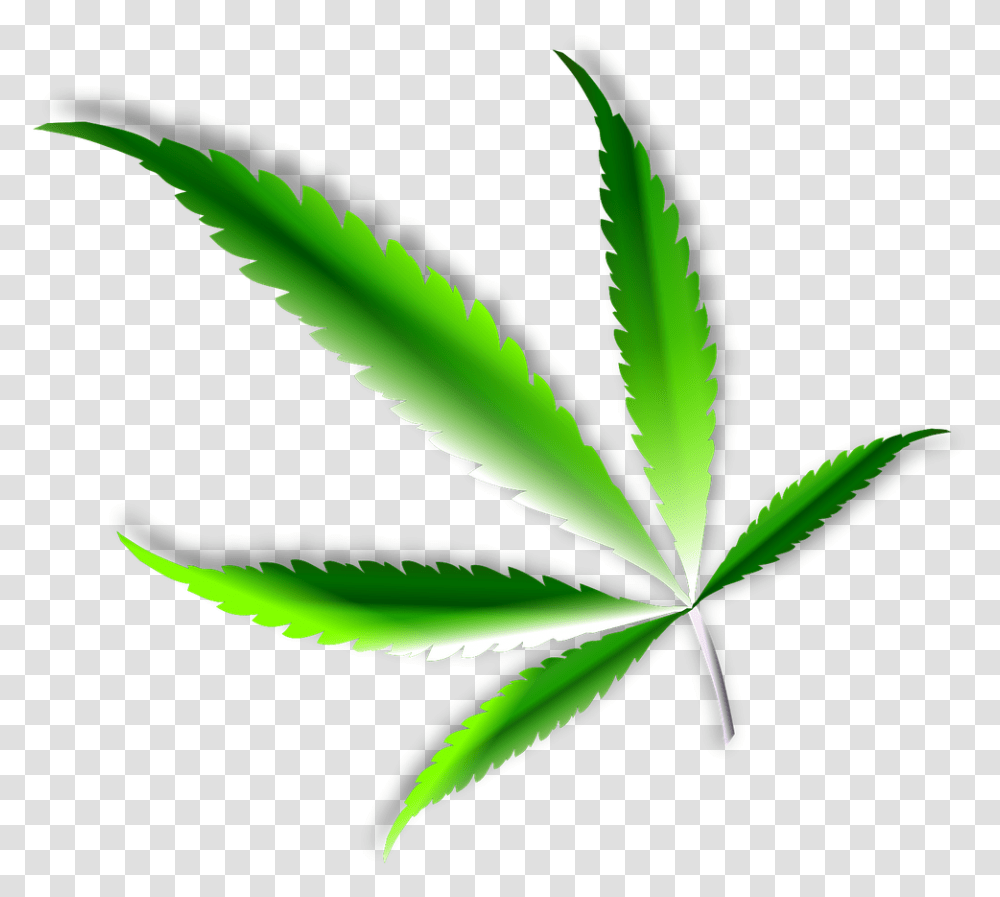 Marijuana, Plant, Weed, Leaf, Hemp Transparent Png