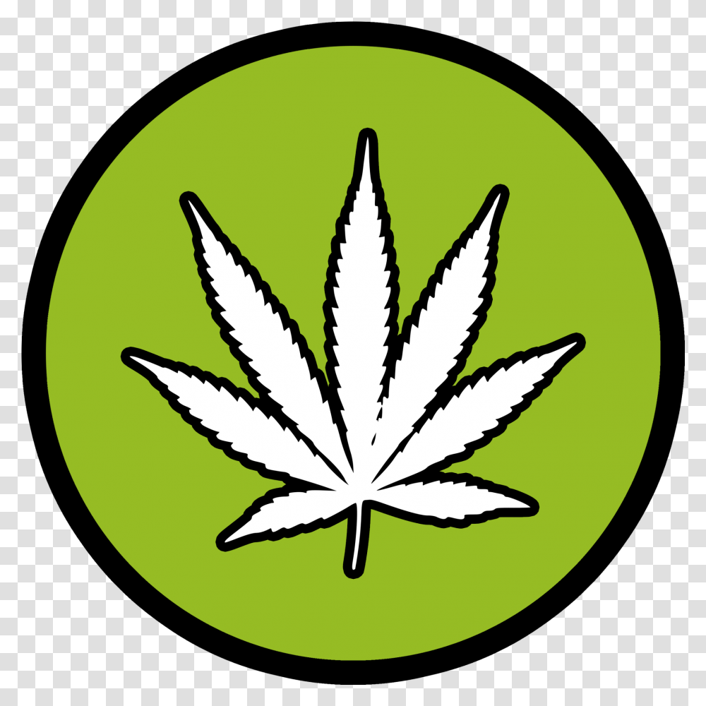 Marijuana Pot Leaf Car Or Truck Window Hemp, Symbol, Plant, Logo, Trademark Transparent Png