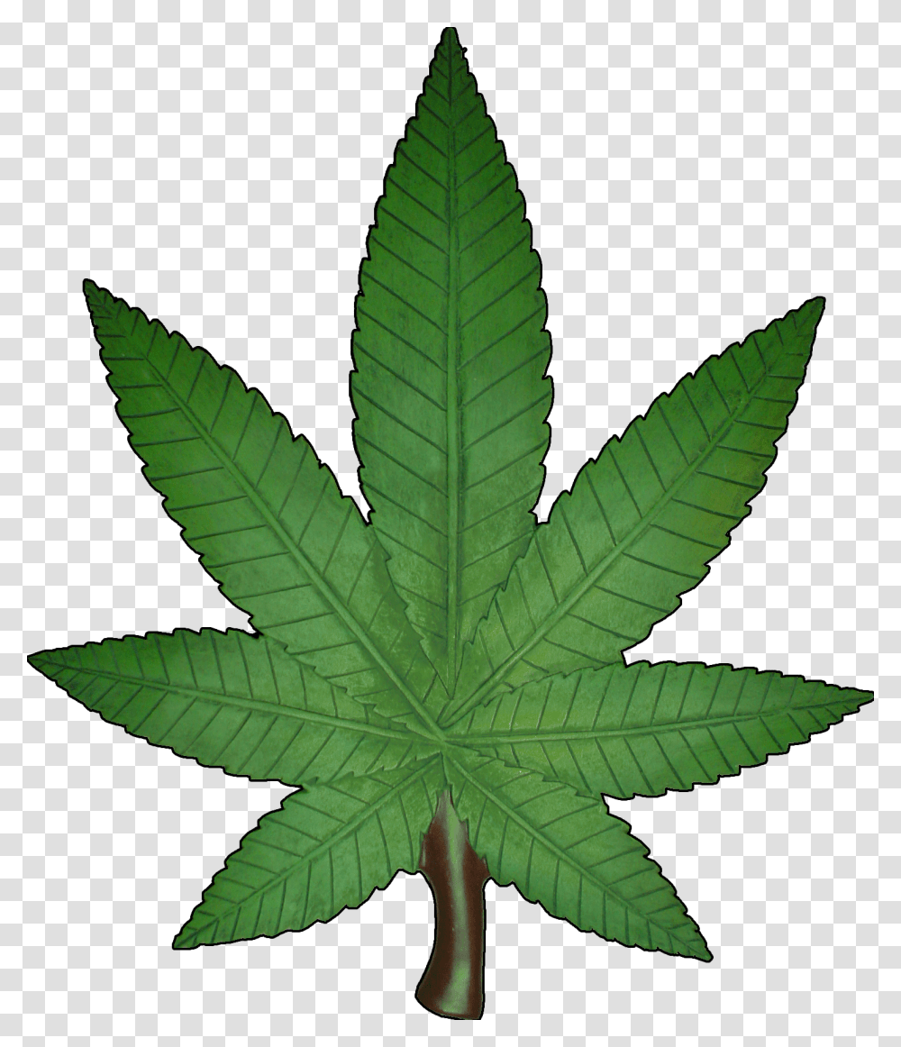 Marijuana Weed Cannabis Leaf Clipart Image, Plant, Dinosaur, Reptile, Animal Transparent Png
