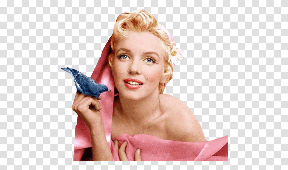Marilyn Monroe, Celebrity, Bird, Animal, Person Transparent Png