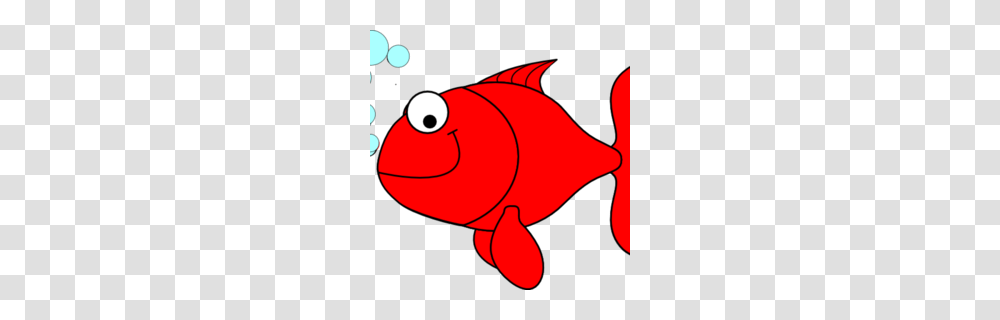 Marine Biology Clipart, Animal, Fish, Goldfish Transparent Png