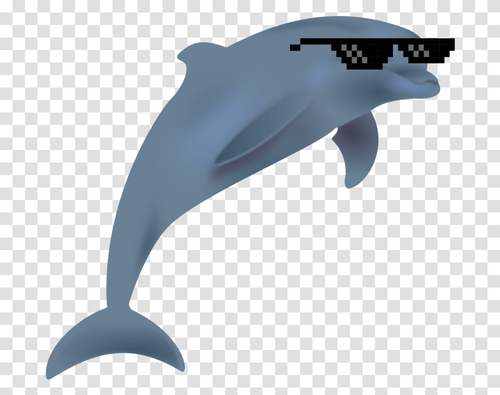 Marine Biologywhales Dolphins And Porpoisesdolphin Dolphin Clipart, Mammal, Sea Life, Animal, Axe Transparent Png