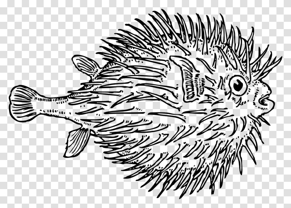 Marine Fish Clipart Puffer Fish Blowfish Black And White, Gray, World Of Warcraft Transparent Png