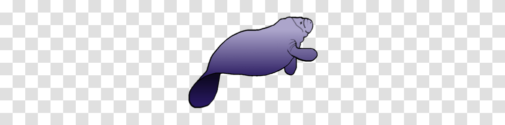 Marine Mammal Clipart, Animal, Sea Life, Mole, Balloon Transparent Png