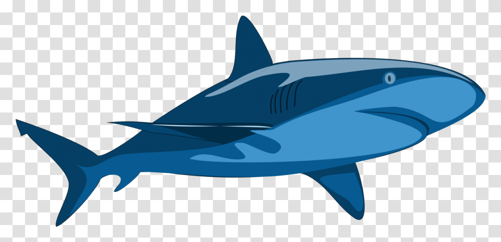 Marine Mammalsharkwhales Dolphins And Porpoises Vector Clip Art Shark, Sea Life, Fish, Animal, Great White Shark Transparent Png