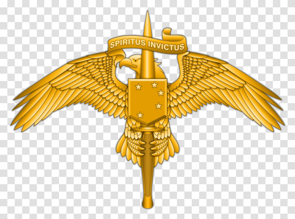 Marine Raider Insignia, Emblem, Gold Transparent Png