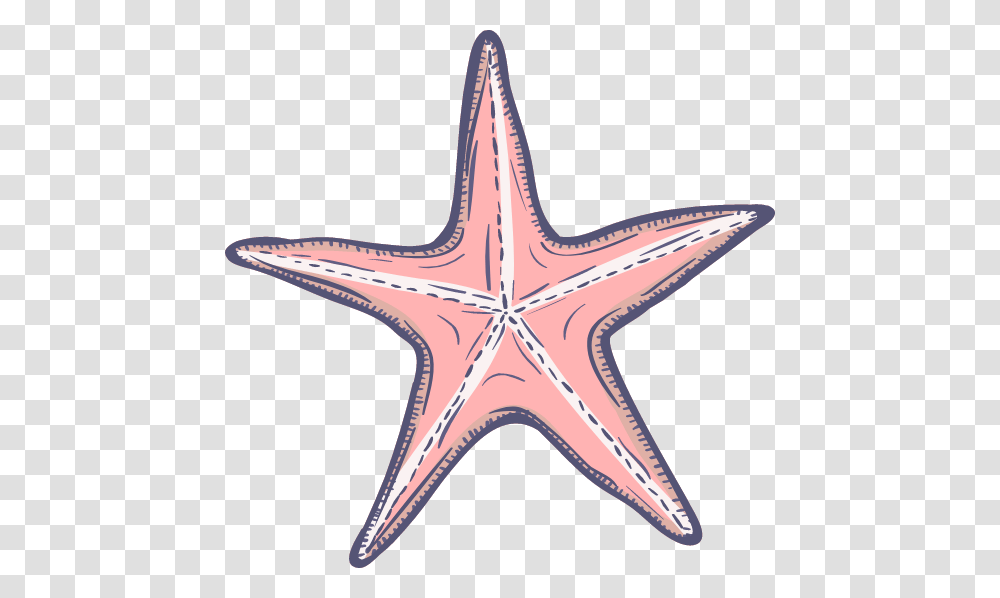 Marine Starfish Graphic Picmonkey Star Fish Cartoon, Invertebrate, Sea Life, Animal, Antelope Transparent Png