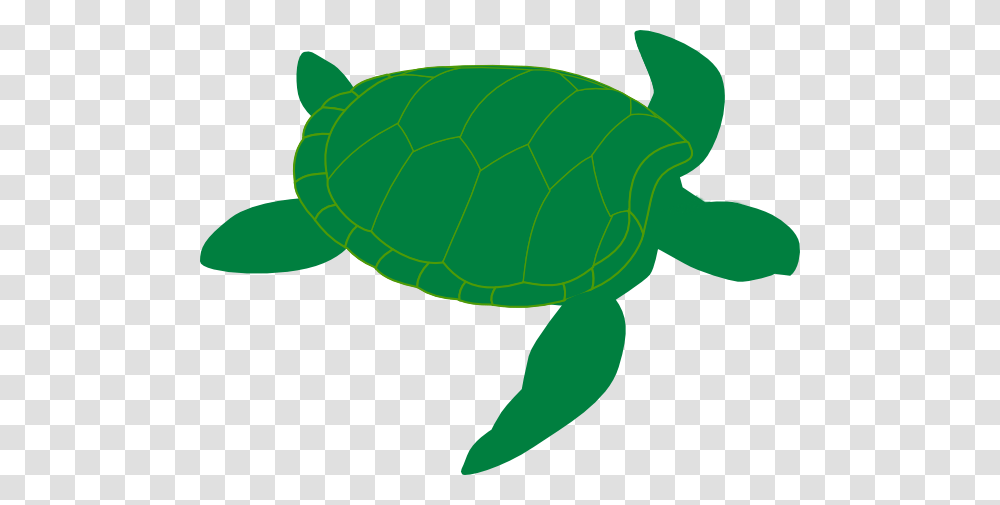Marine Turtle Clip Art, Reptile, Sea Life, Animal, Tortoise Transparent Png