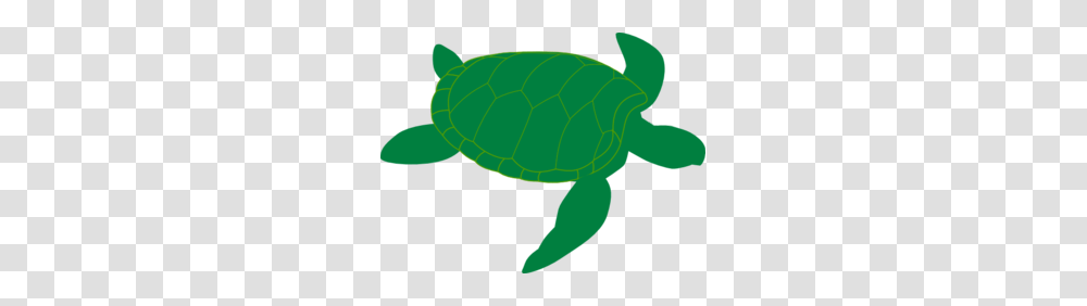Marine Turtle Clip Art, Tortoise, Reptile, Sea Life, Animal Transparent Png
