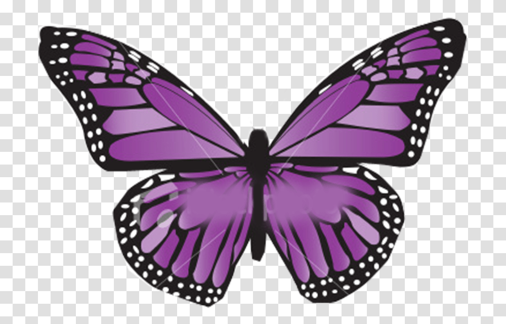 Mariposa 8 Image Monarch Butterflies Clipart, Purple, Insect, Invertebrate, Animal Transparent Png