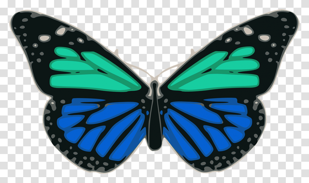 Mariposa Azul Turquesa Colores Alas Insectos Turquoise, Invertebrate, Animal, Sunglasses, Accessories Transparent Png