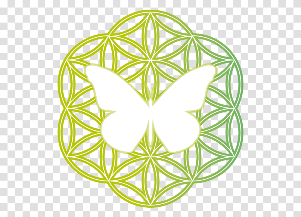 Mariposa Golden Flower Of Life, Leaf, Plant, Star Symbol Transparent Png