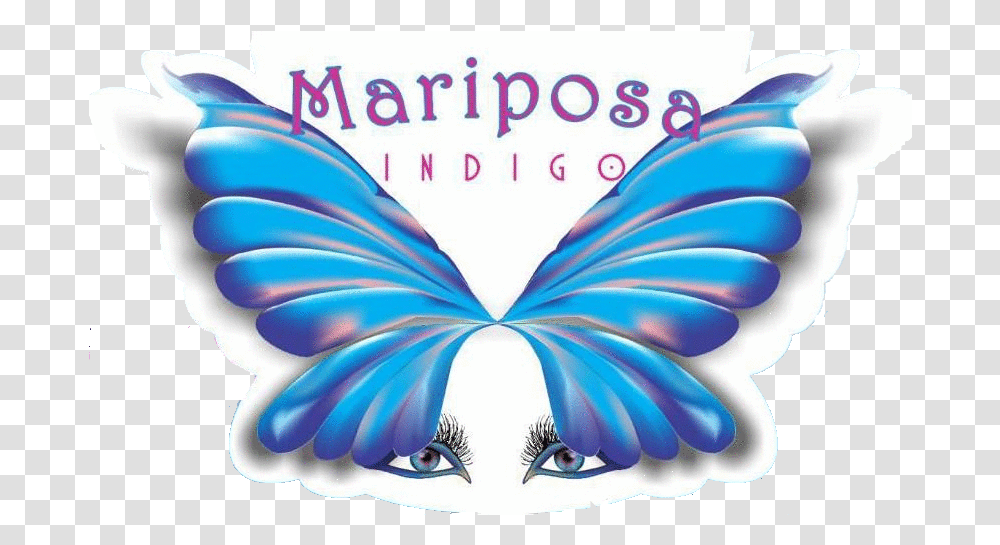 Mariposa, Pattern, Turquoise Transparent Png
