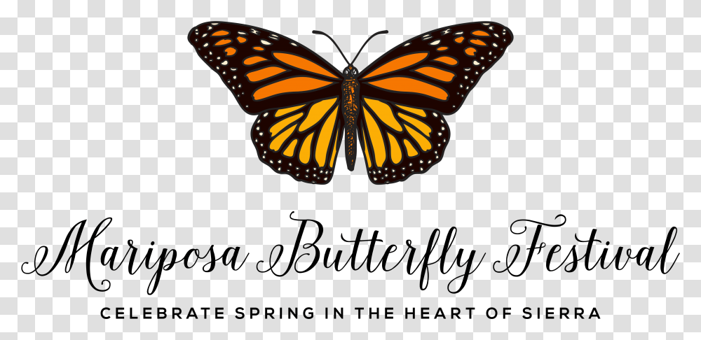 Mariposa Mariposa Butterfly, Monarch, Insect, Invertebrate, Animal Transparent Png