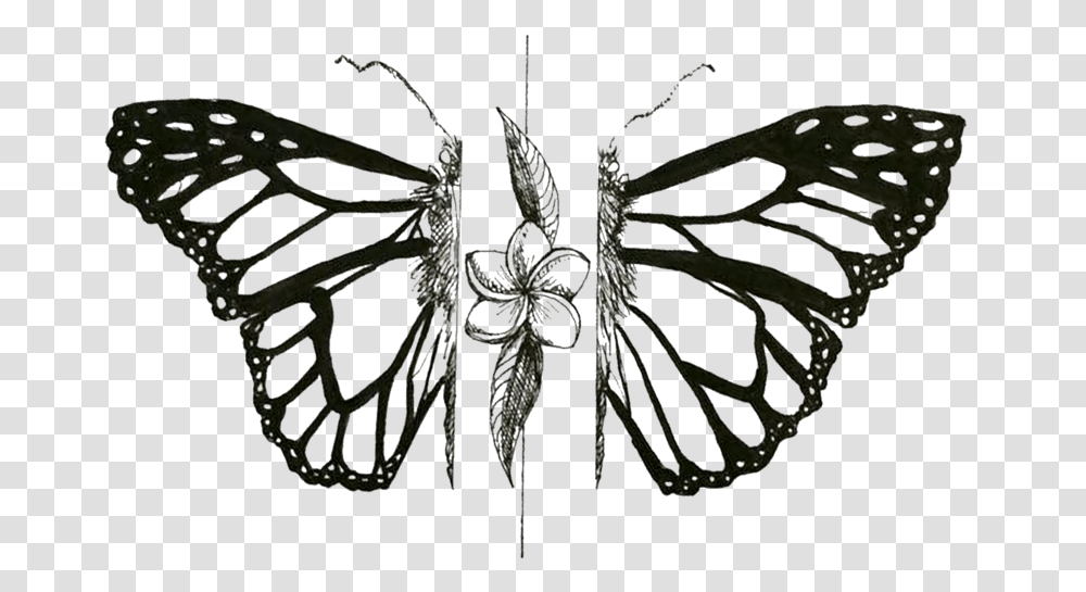Mariposa Monarch Butterfly, Insect, Invertebrate, Animal, Spider Transparent Png