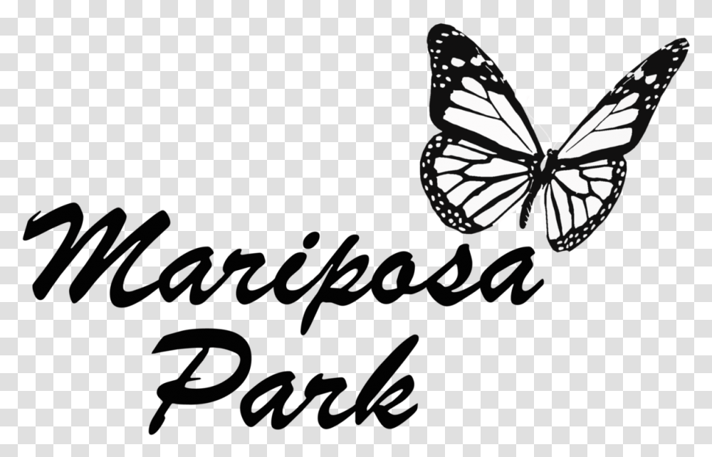 Mariposa Park Pieridae, Insect, Invertebrate, Animal, Butterfly Transparent Png