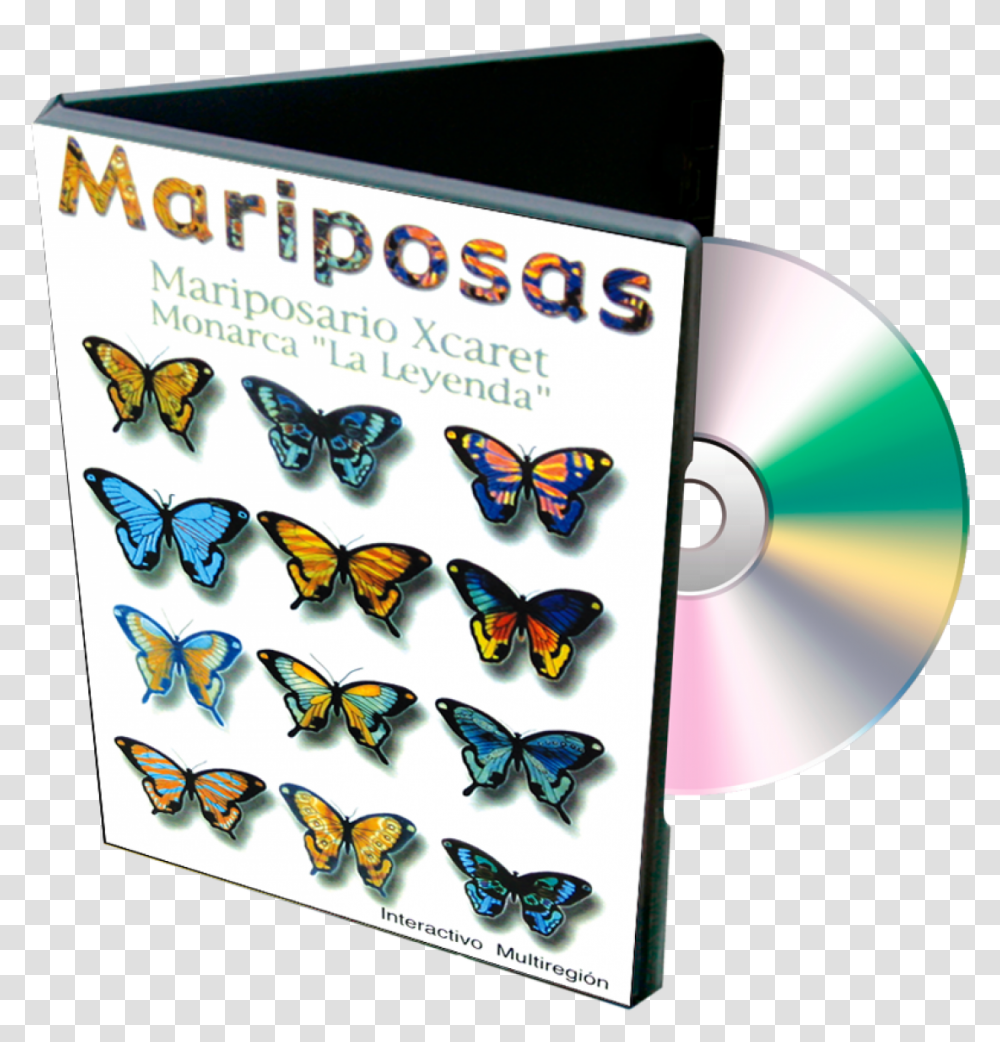 Mariposas Clasificacion De Mariposas, Disk, Dvd, Honey Bee, Insect Transparent Png