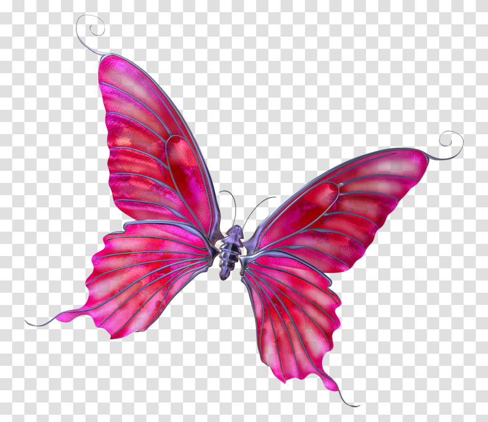 Mariposas De Dibujo Fondo Transparente, Insect, Invertebrate, Animal, Butterfly Transparent Png