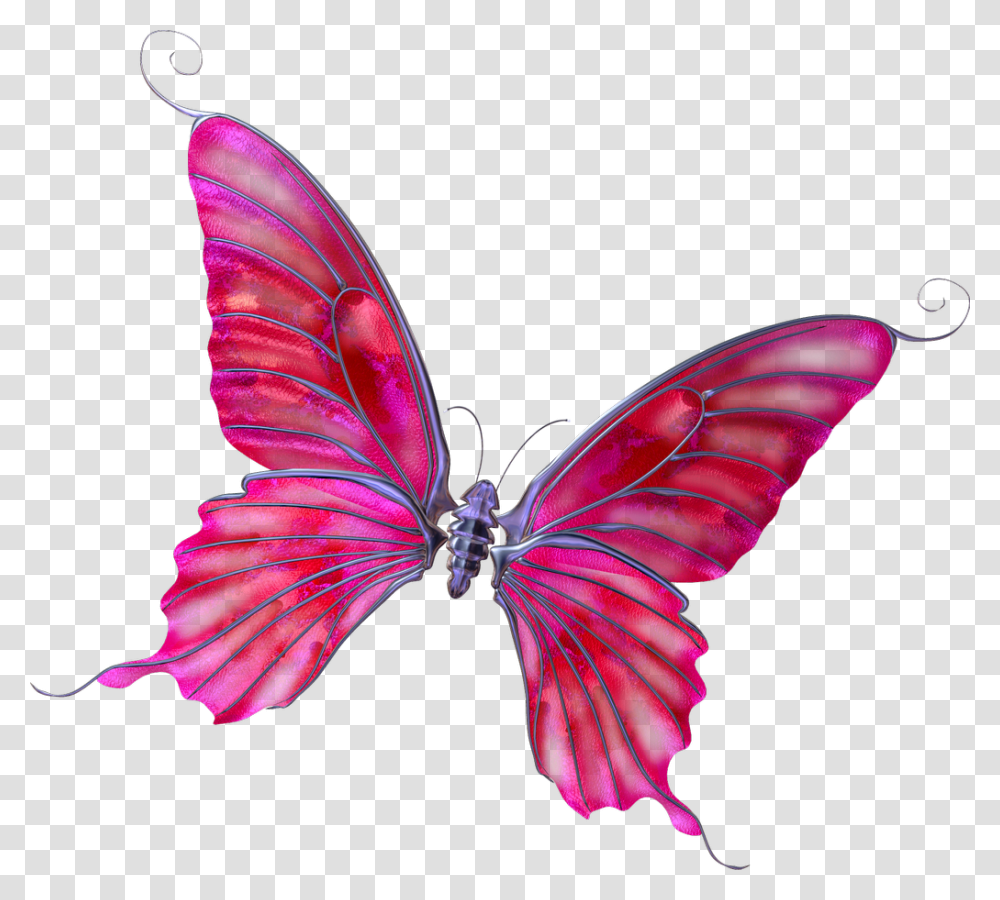 Mariposas En Rosadas, Insect, Invertebrate, Animal, Butterfly Transparent Png