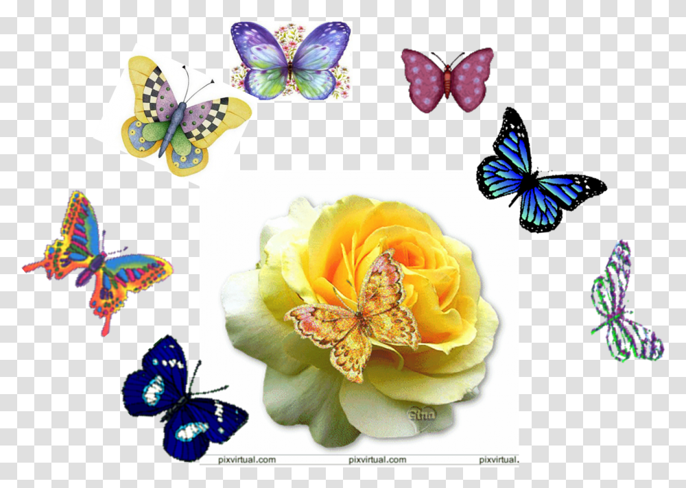 Mariposas J Rose Gif, Collage, Poster, Advertisement, Accessories Transparent Png