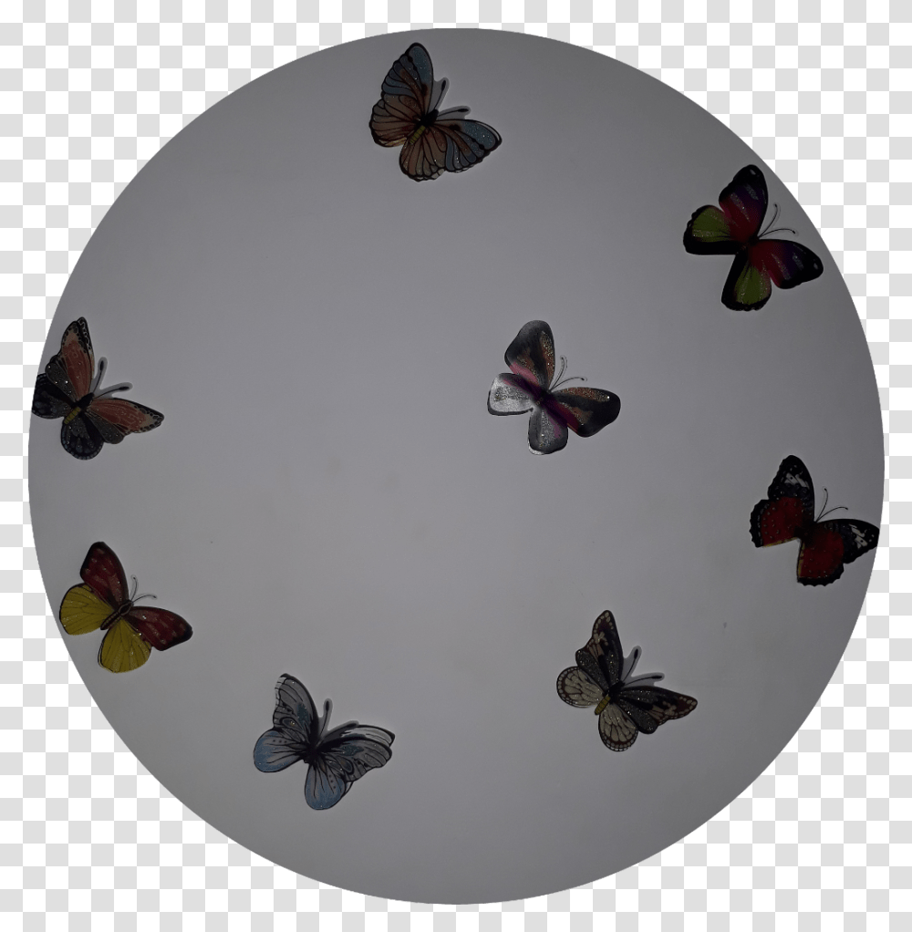 Mariposas Transformation Transfrmate Transforma Large Blue, Bird, Animal, Sphere, Dish Transparent Png