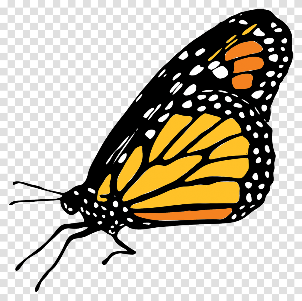 Mariposas Vector Mariposa Monarca Dibujo, Monarch, Butterfly, Insect, Invertebrate Transparent Png