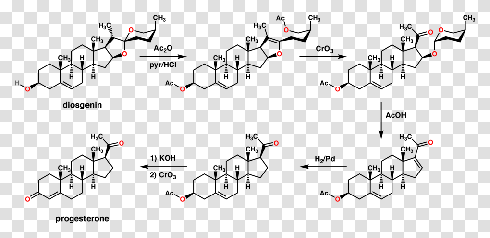 Marker Snythesis Synthesis Of Progesterone From Cholesterol, Outdoors, Nature, Alphabet Transparent Png