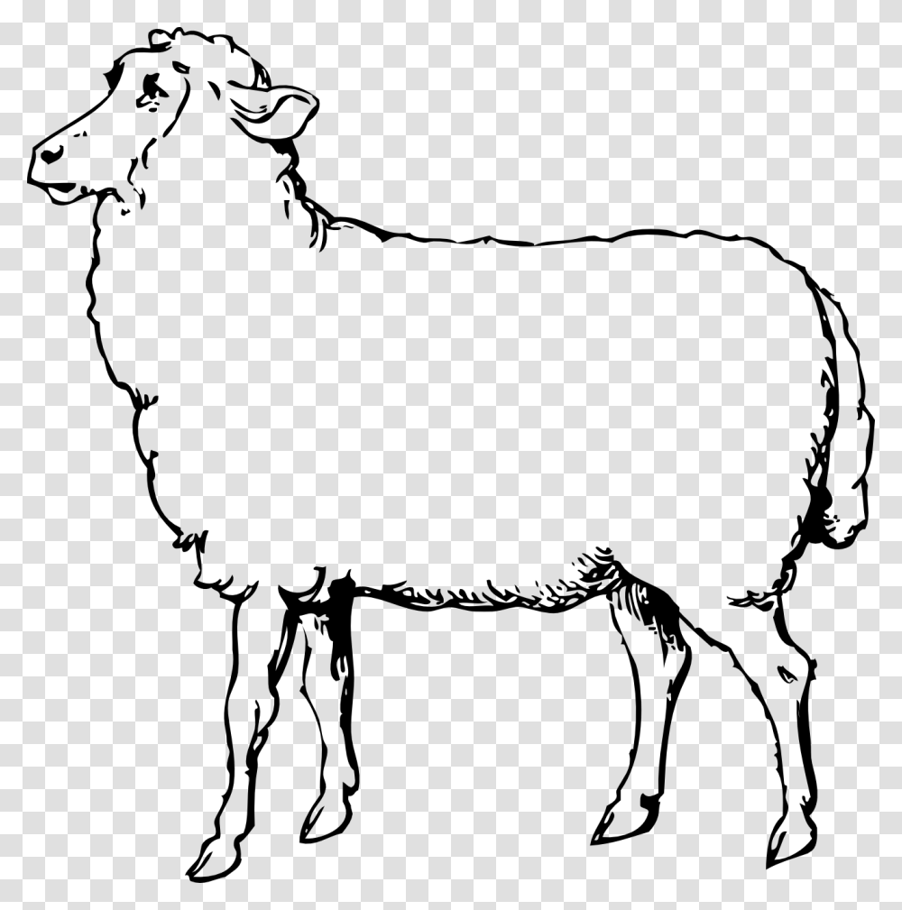 Market Lamb Cliparts, Gray, World Of Warcraft Transparent Png