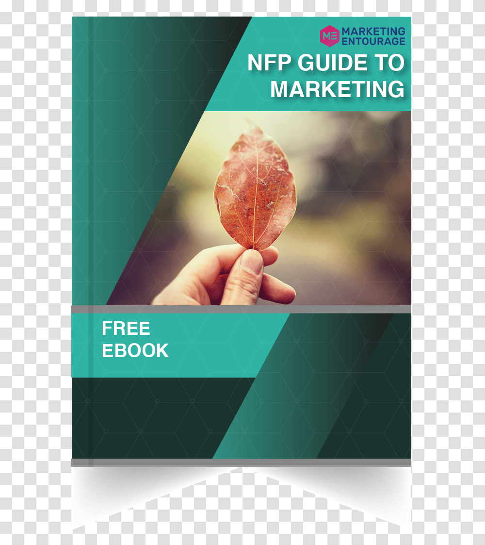 Marketing Entourage Events Flyer, Leaf, Plant, Person, Human Transparent Png